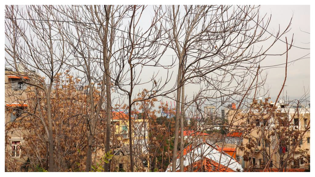 Beirut, Lebanon 16