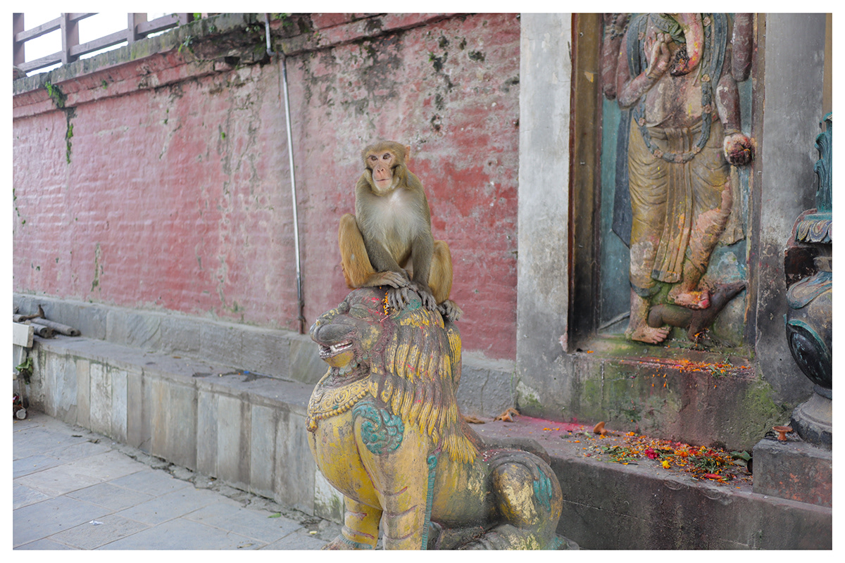 Nepal 5